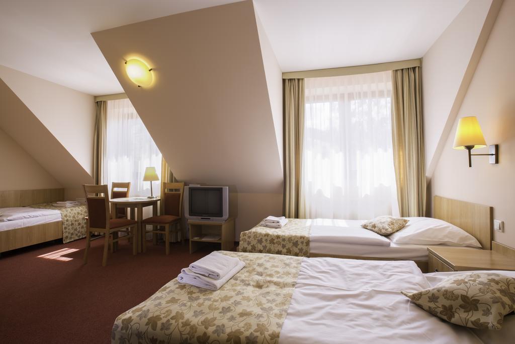 Ski Hotel Piwniczna-Zdroj Екстер'єр фото