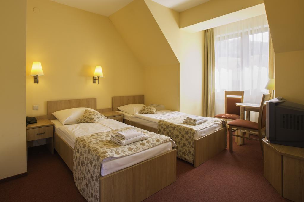 Ski Hotel Piwniczna-Zdroj Екстер'єр фото