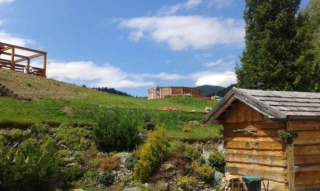 Ski Hotel Piwniczna-Zdroj Екстер'єр фото