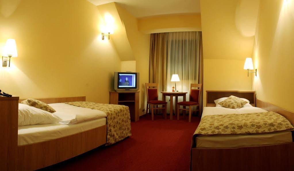 Ski Hotel Piwniczna-Zdroj Екстер'єр фото